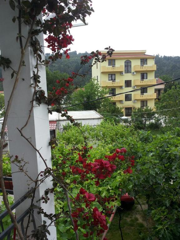 Apartments Blago Sutomore Exterior photo